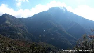 nte Scuderi-23-11-2014 09-47-10